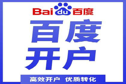 百度竞价运营的挑战与机遇：成功案例探讨